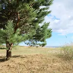 Glamping 만디알라