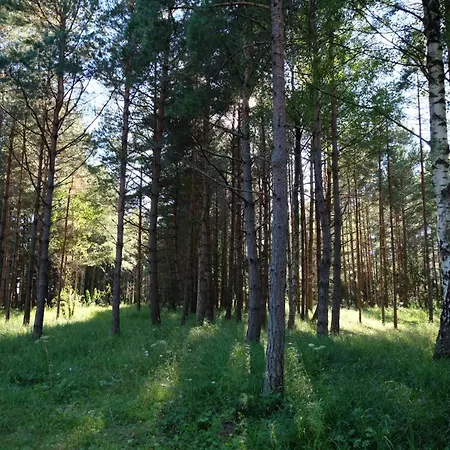 Glamping Tente de luxe