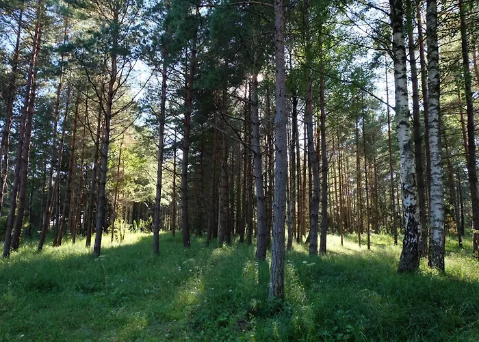 Glamping Οργανωμένο κάμπινγκ